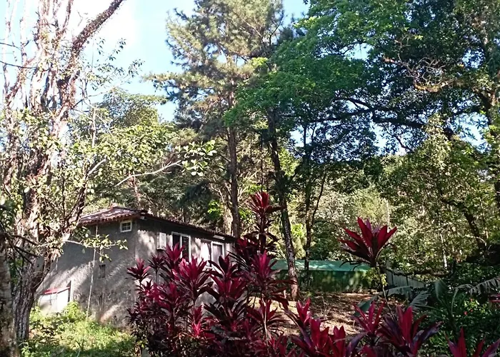 Cerroazulfarmlodge